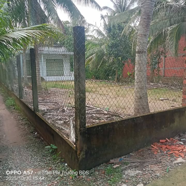 Đất thổ cư 5500m² tại Thạnh Ngãi, Mỏ Cày Bắc, Bến Tre - Giá chỉ 2.4 tỷ