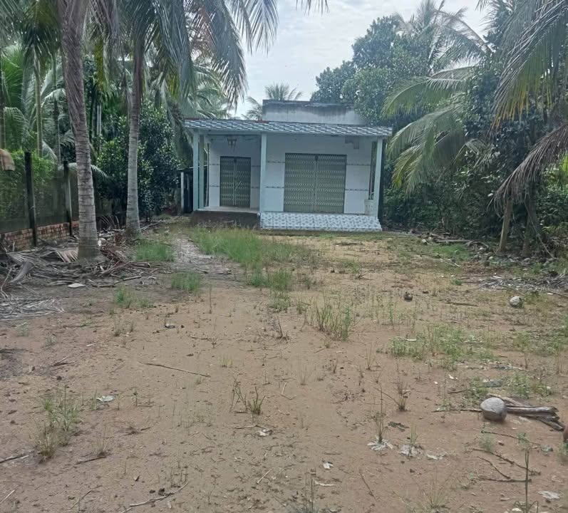 Đất nông nghiệp Thạnh Ngãi 5500m² giá 2.4 tỷ - Đất vuông vức, vị trí đẹp!