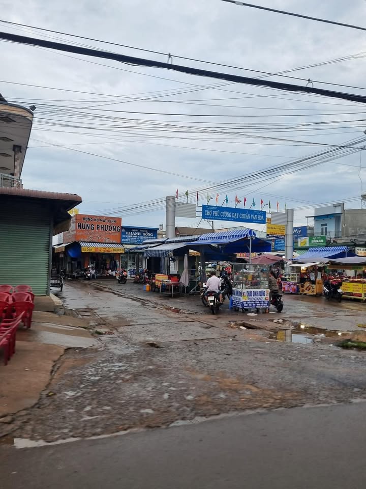 Đất nền 1000m² Quốc lộ 20, Phú Cường, Định Quán - Giá chỉ 550 triệu!