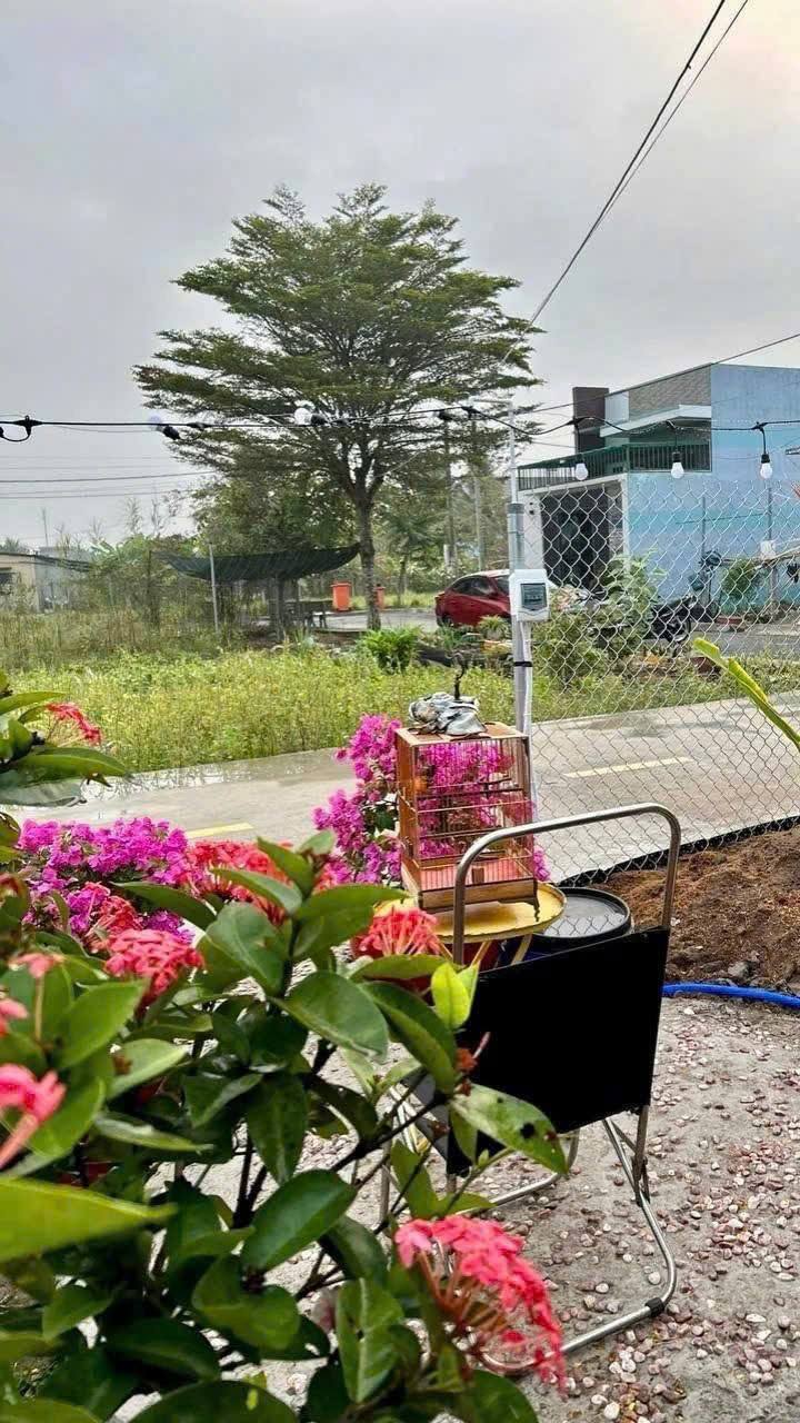 Đất thổ cư ấp 3 Long Định 89m² giá 1.2 tỷ - Đầu tư sinh lời tiềm năng!