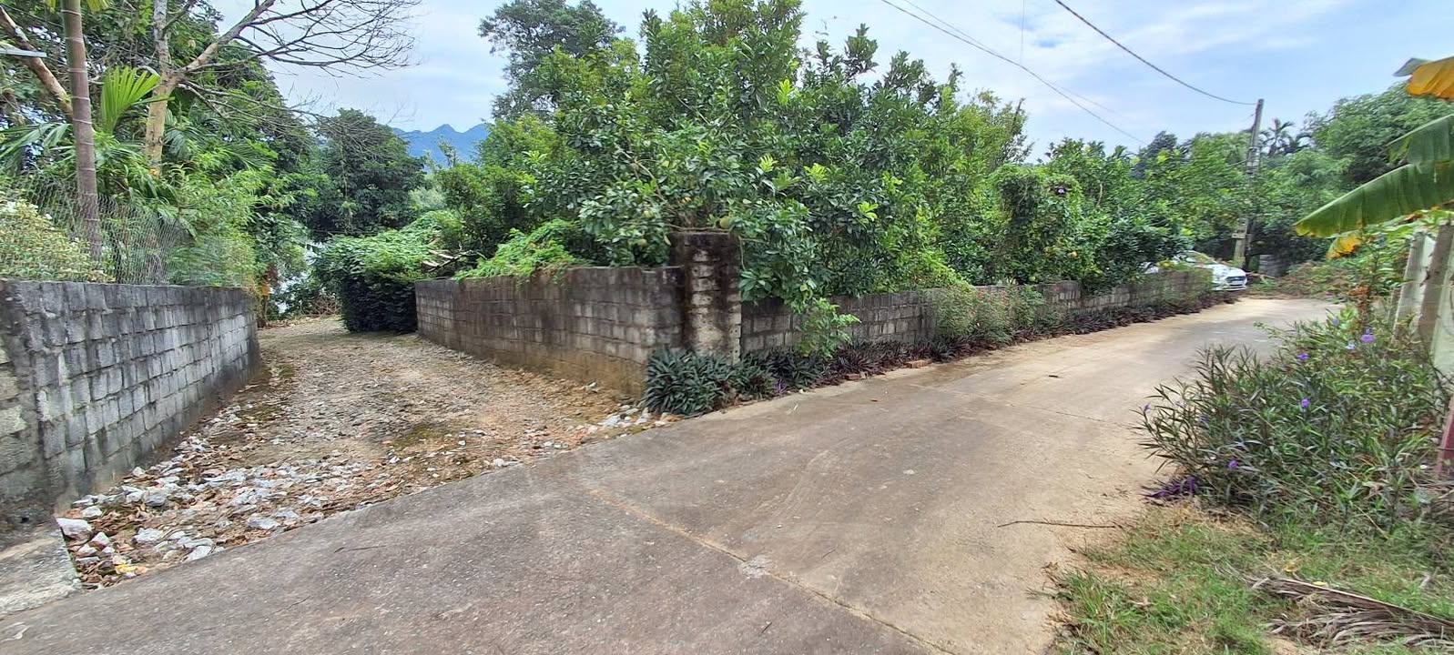 Đất nghỉ dưỡng bám hồ Vầu 1.600m² giá 6.4 tỷ - Cơ hội đầu tư hấp dẫn!