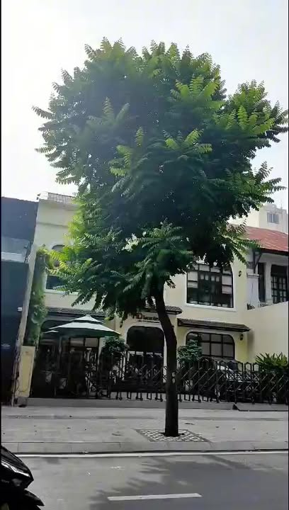 Bán nhà mặt tiền Đa Kao, Quận 1 - 175m² giá chỉ 135 tỷ - Cơ hội đầu tư vàng!