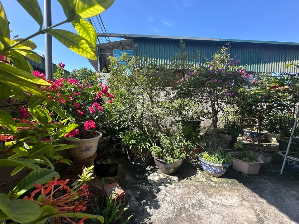 Nhà riêng 216m² Hồng Phong, Đông Triều chỉ 2 tỷ - Sân vườn thoáng mát!