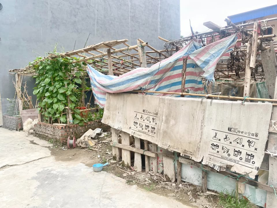 Đất nền 50m² tại Lương Quán, An Dương - Giá chỉ 1,35 tỷ, sổ đỏ chính chủ!