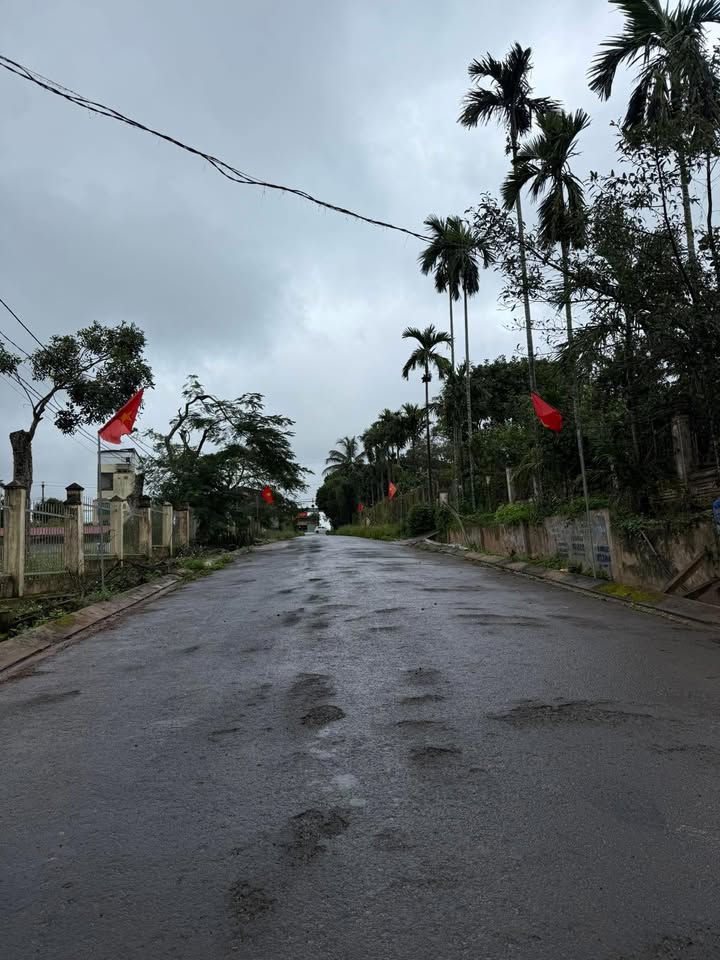 Nhà mặt tiền Hải Thượng Lãn Ông 310m² giá 2.95 tỷ - Đầu tư sinh lời ngay!