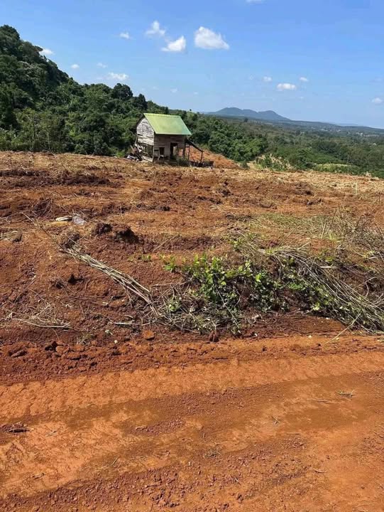 Đất nền Thôn 8, xã Ea Nam, huyện Ea H'leo, 10.000m² giá 1,2 tỷ - Cơ hội đầu tư tuyệt vời!