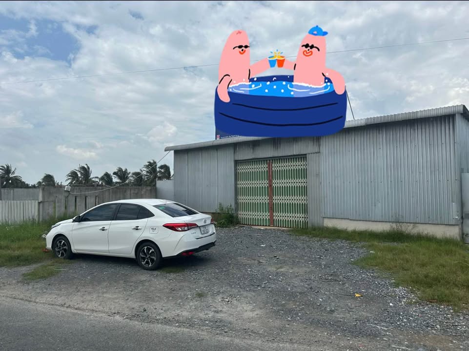 Bán đất thổ cư 1000m² tại ấp Thạnh Hưng, Bến Tre - Cơ hội đầu tư sinh lời!