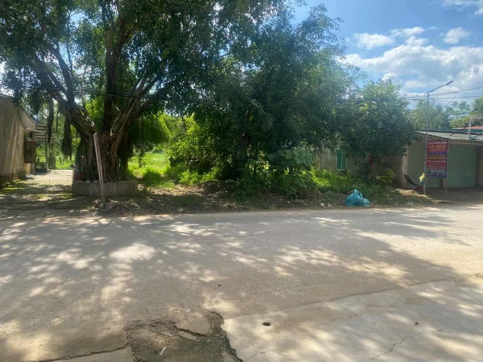 Đất nền xã Giai Xuân 5583m² mặt đường 13m - Cơ hội đầu tư lý tưởng!