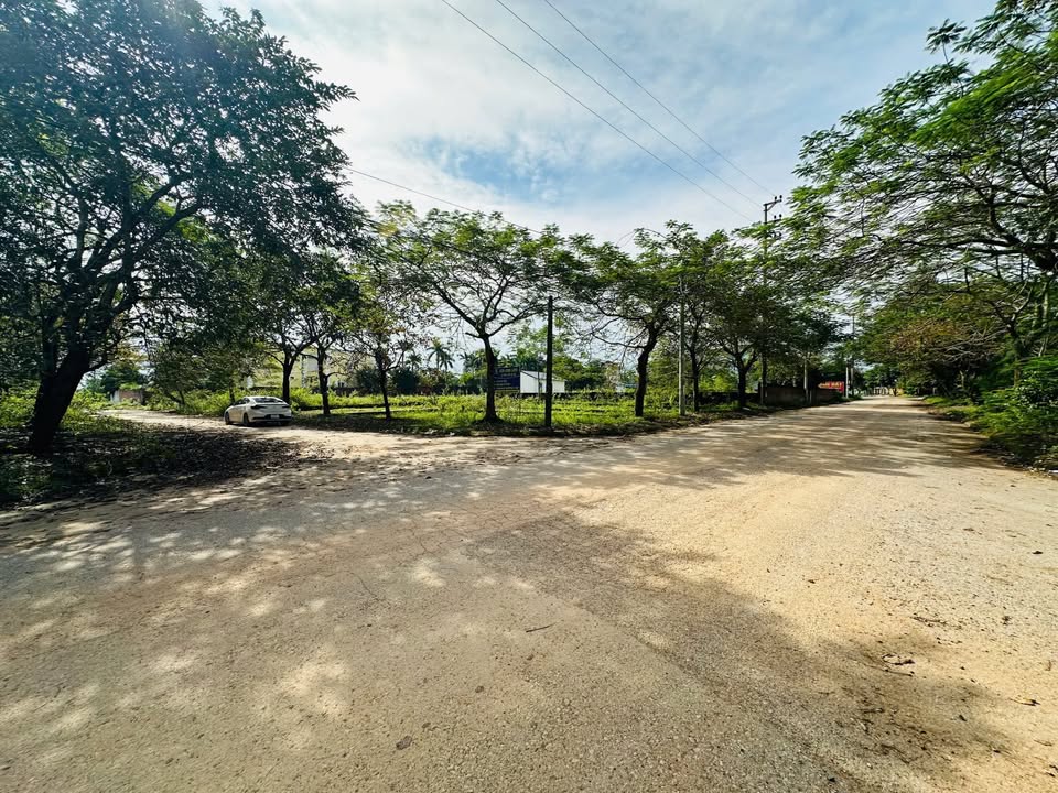 Đất nền Vai Réo, Phú Cát, 112m² giá 4 tỷ - Cơ hội đầu tư hiếm có!