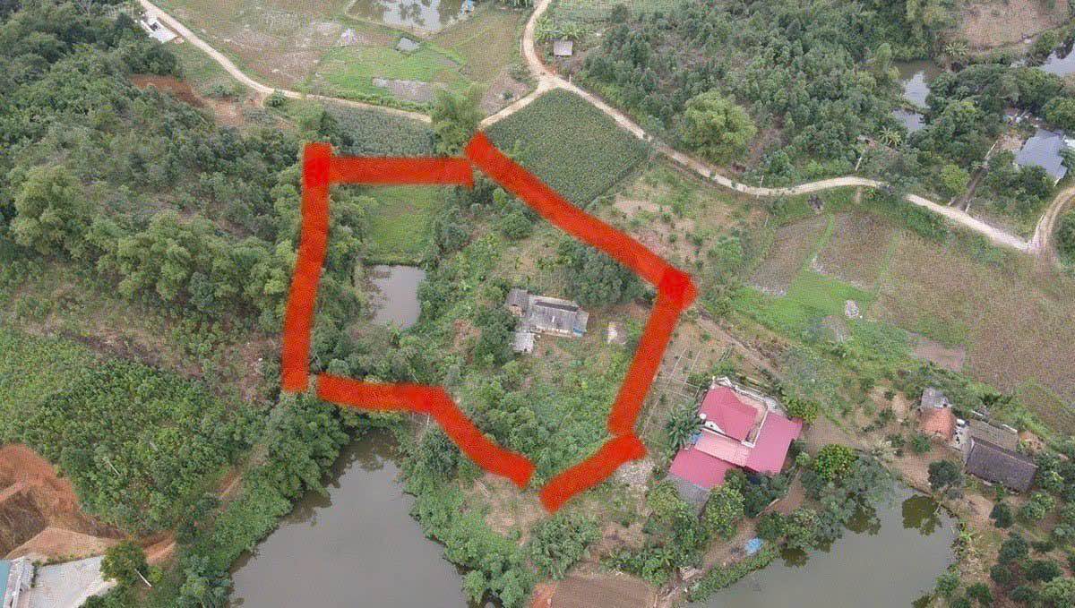 Trang trại mini Thống Nhất 4000m² giá 1.8 tỷ - Cơ hội đầu tư hấp dẫn!