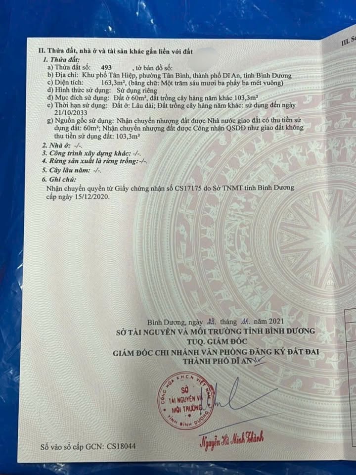 Đất nền Tân Bình, Dĩ An 163m² giá 1.65 tỷ - Đầu tư sinh lời ngay!