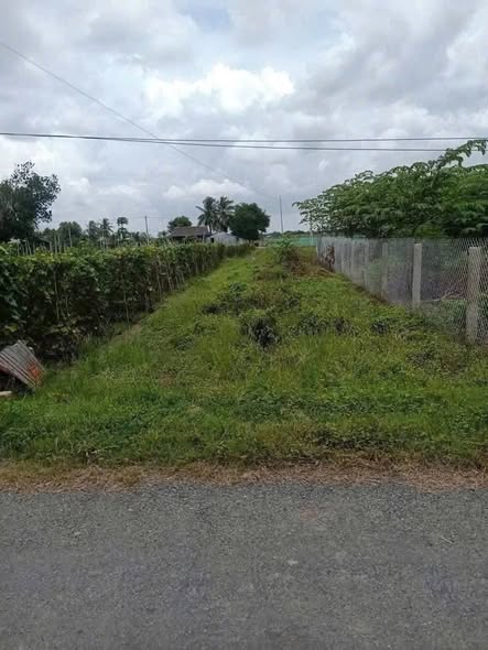 Đất mặt tiền nhựa 5.5m tại ấp Thọ Khương, Gò Công Tây - Giá chỉ 395 triệu!