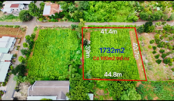 Đất thổ cư Long Tân, Đất Đỏ 1.732m² giá chỉ 3 tỷ - Cơ hội đầu tư tuyệt vời!