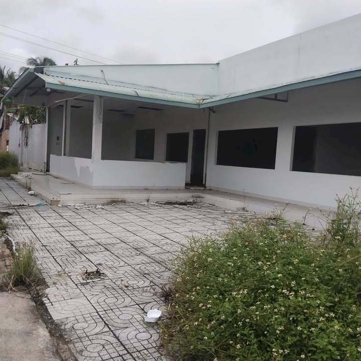 Đất mặt tiền Tỉnh 885 Giồng Trôm 3620m² giá 13 tỷ - Đầu tư sinh lời cao!