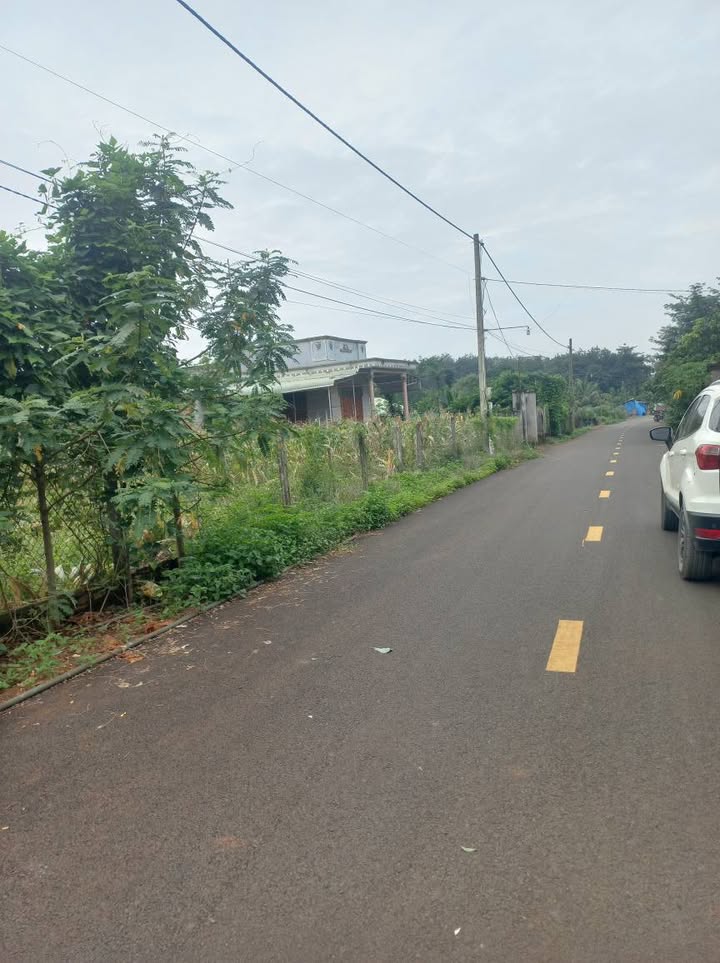 Đất nền Bàu Lâm, Xuyên Mộc 320m² giá 1.3 tỷ - Nở hậu, tiện ích đầy đủ!