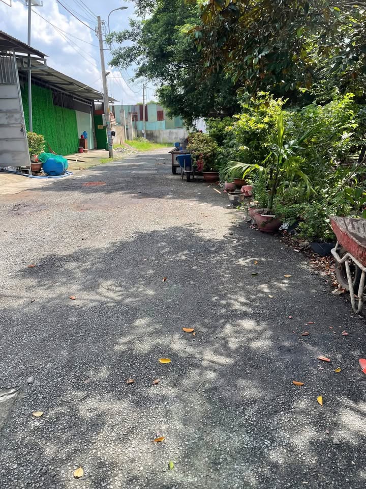 Đất nền đường Trãi, xã Xuân Thới Sơn, Hóc Môn, 1155m² chỉ 10 tỷ - Tiềm năng đầu tư lớn!