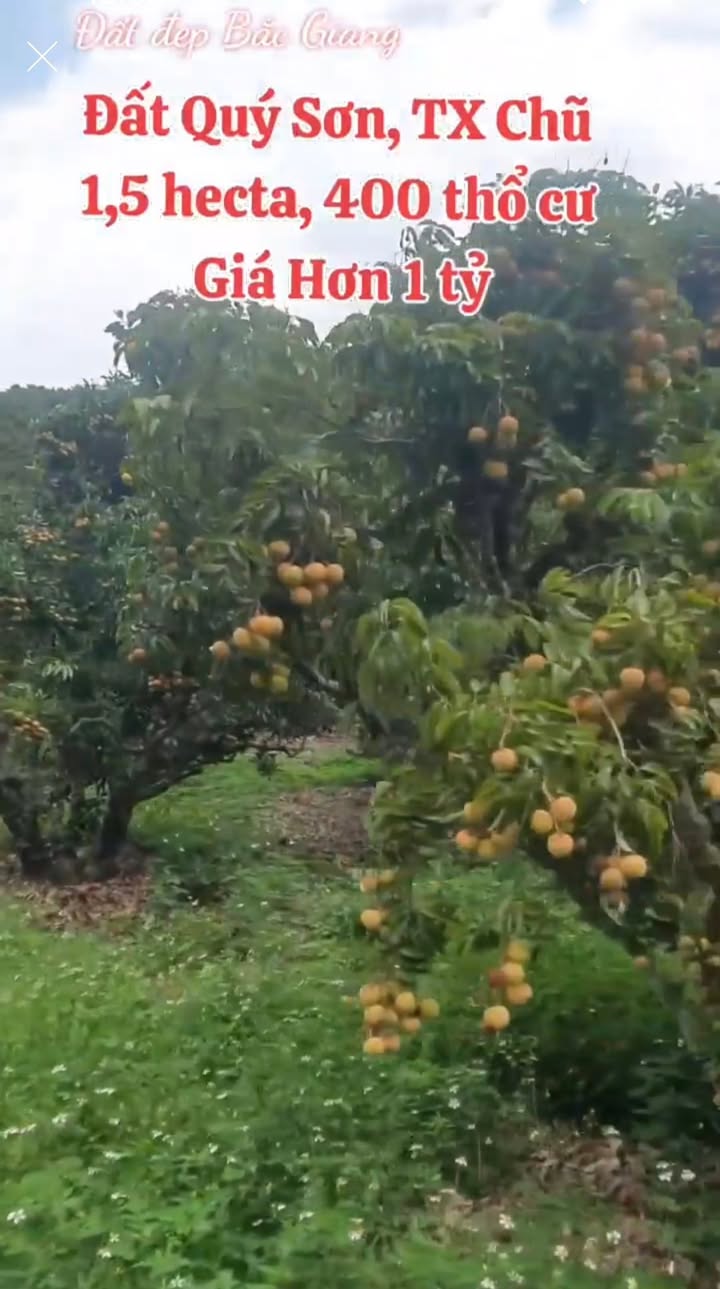 Đất nền 1,5 ha tại Bắc Hai, Lục Ngạn - Cơ hội đầu tư sinh lời!