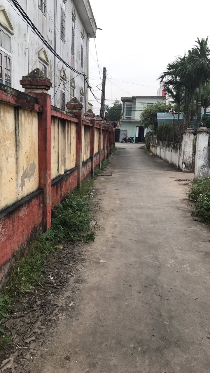 Đất nền xóm Bắc Sơn, Hải Chính, 115m² giá 800 triệu - Chính chủ cần bán gấp!