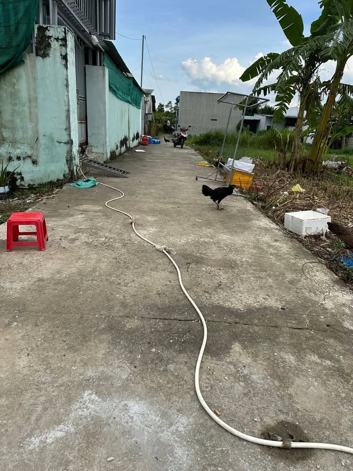 Đất làm vườn 920m² tại Tân An, Long An chỉ 1.85 tỷ - Cơ hội đầu tư hấp dẫn!