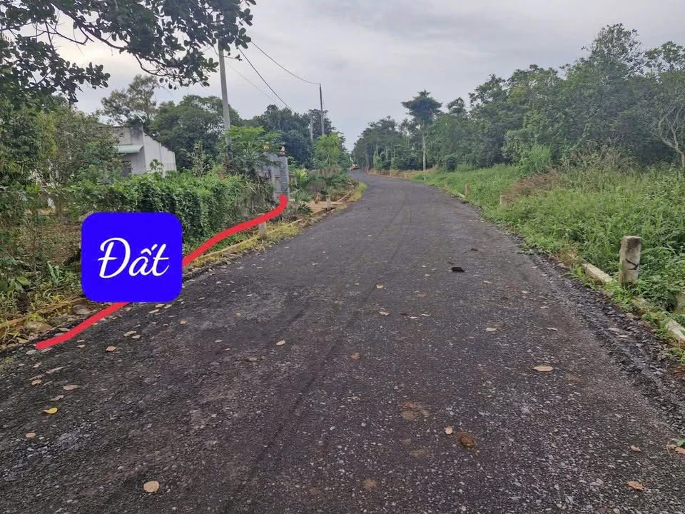 Đất thổ cư Quảng Thành 125m² giá chỉ 355 triệu - Đầu tư sinh lời nhanh!