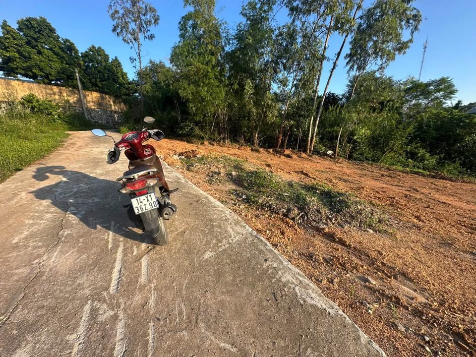 Đất nền Thanh Sơn, Uông Bí 118m² giá chỉ 700 triệu - Đầu tư sinh lời ngay!