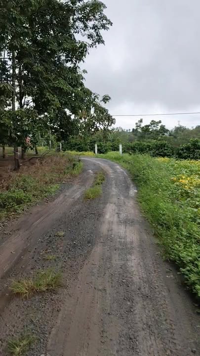 Đất thổ cư Quảng Hiệp 11.000m² giá 1.6 tỷ - Đường xá thuận lợi, giao thông dễ dàng!