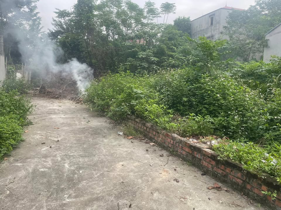 Đất Dục Tú 40m² - Ô tô vào tận đất, giá thỏa thuận