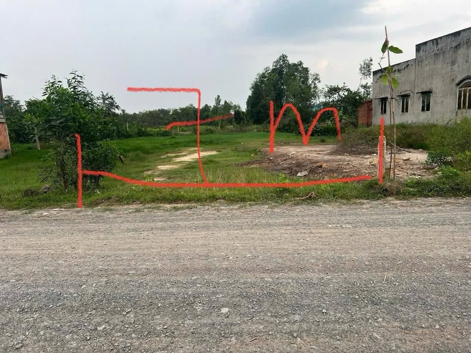 Đất nền 357m² mặt tiền đường Rừng Sến, Mỹ Hạnh Bắc giá chỉ 2.5 tỷ - Cơ hội đầu tư hấp dẫn!