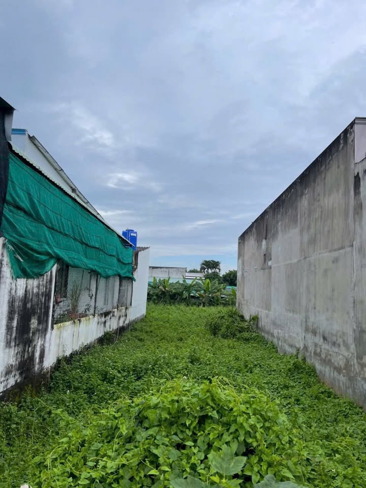 Đất thổ cư hẻm 140 Nguyễn Minh Đường, Tân An 150m² giá 1.999 tỷ - Đầu tư sinh lời ngay!