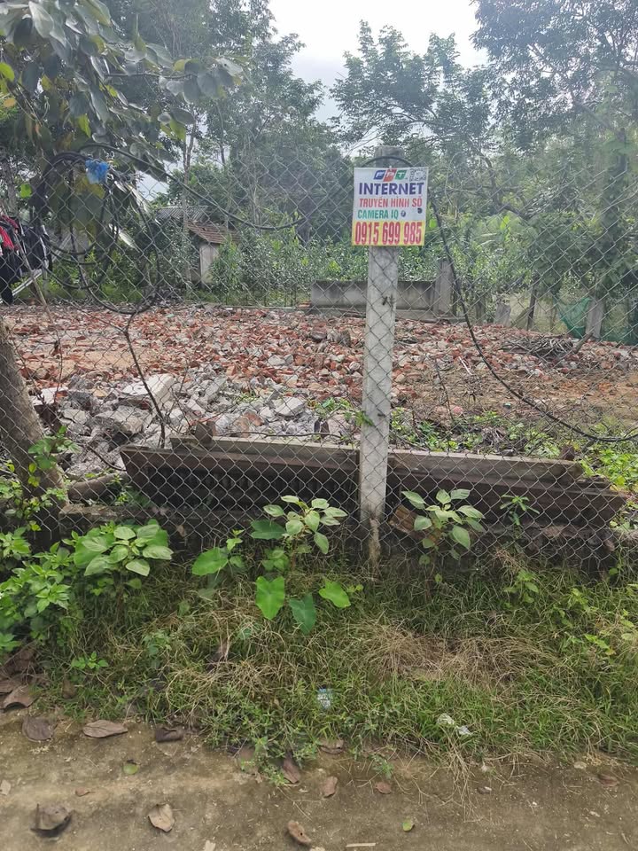 Đất thổ cư Kim Phú Tuyên Quang 260.8m² - Phù hợp xây nhà vườn!