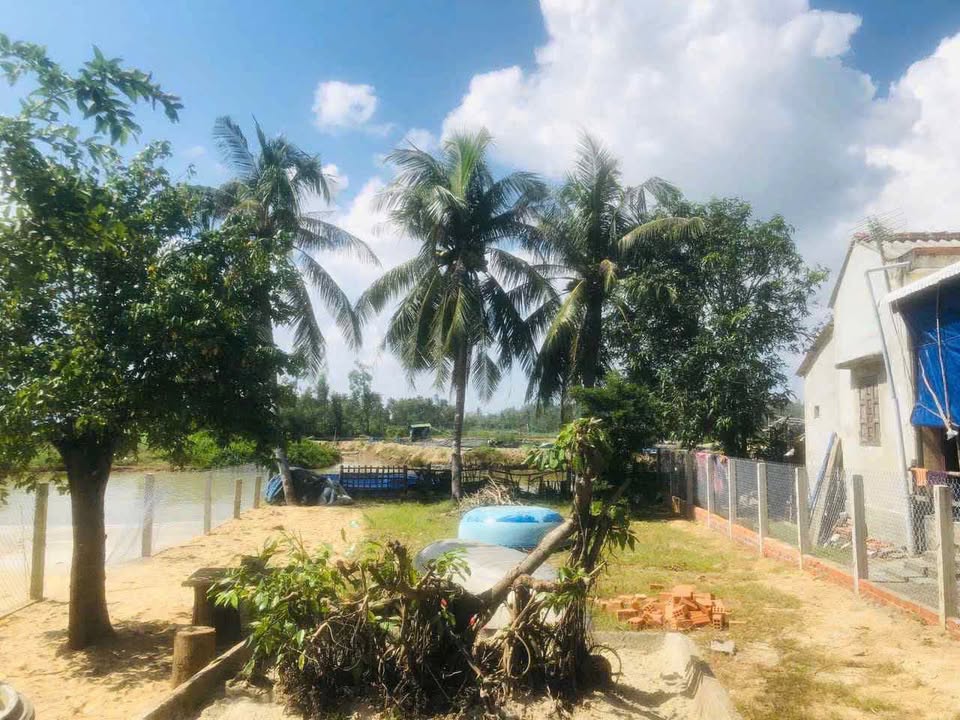 Biệt thự Tịnh Khê 224m² giá 2 tỷ - Đầu tư sinh lời ngay!