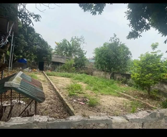 Đất nền Dương Quang, Mỹ Hào 65m² giá 1 tỷ - Sổ đỏ chính chủ, đầu tư sinh lời!