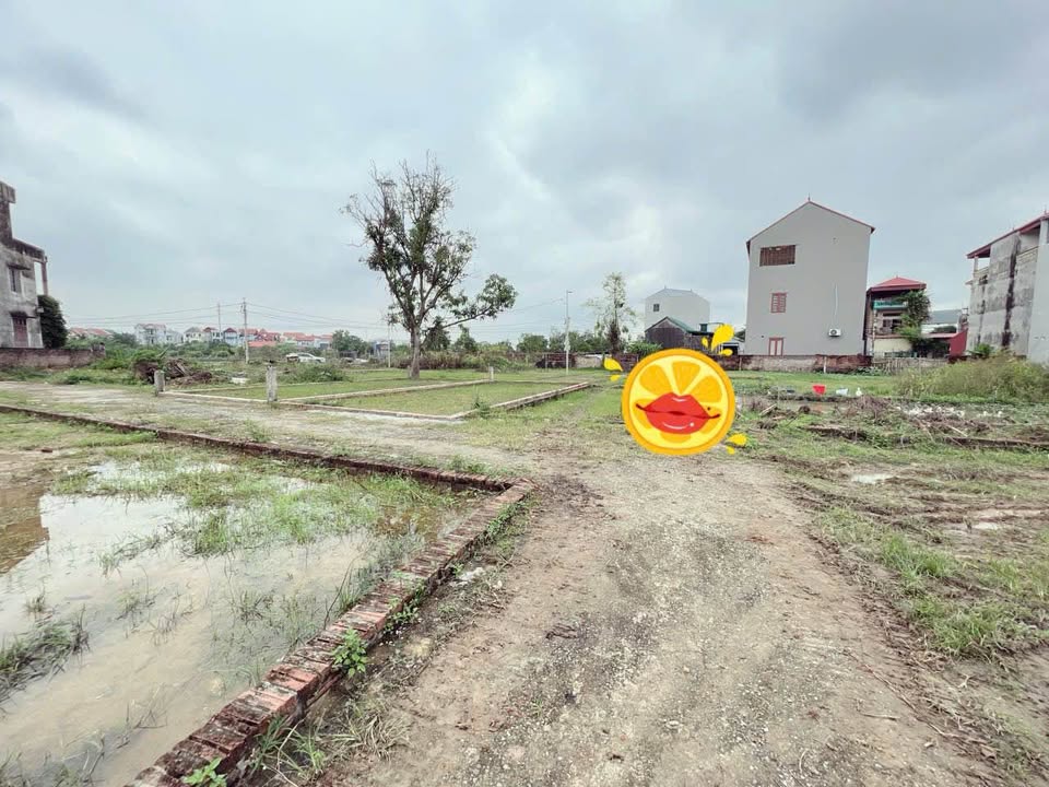 Đất nền tổ 9 Quang Minh, Mê Linh 69m² giá 1 tỷ - Cơ hội đầu tư tuyệt vời!