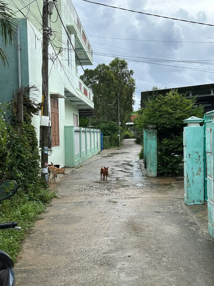 Đất nền Phú Hiệp 132m² giá thỏa thuận - Cơ hội đầu tư hấp dẫn!