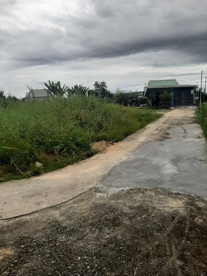 Đất thổ cư 200m² tại chợ Hàm Hiệp, giá chỉ 2.5 tỷ - Cơ hội đầu tư tuyệt vời!