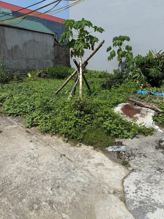 Đất nền Duy Hải, Duy Tiên 45m² giá 1.1 tỷ - Cơ hội đầu tư tuyệt vời!