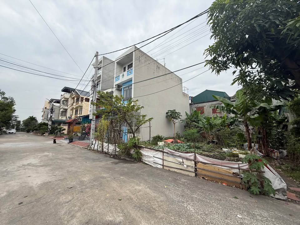 Đất nền Biệt Thự Cẩm Sơn 200m² giá thỏa thuận - Gần trường quốc tế, tiện ích đầy đủ!