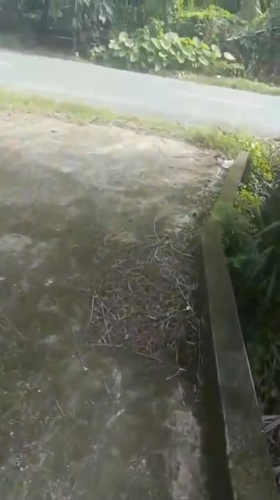 Đất nền mặt tiền huyện lộ 10, xã Mỹ Chánh, 1360m² giá 1.2 tỷ - Cơ hội đầu tư sinh lời!