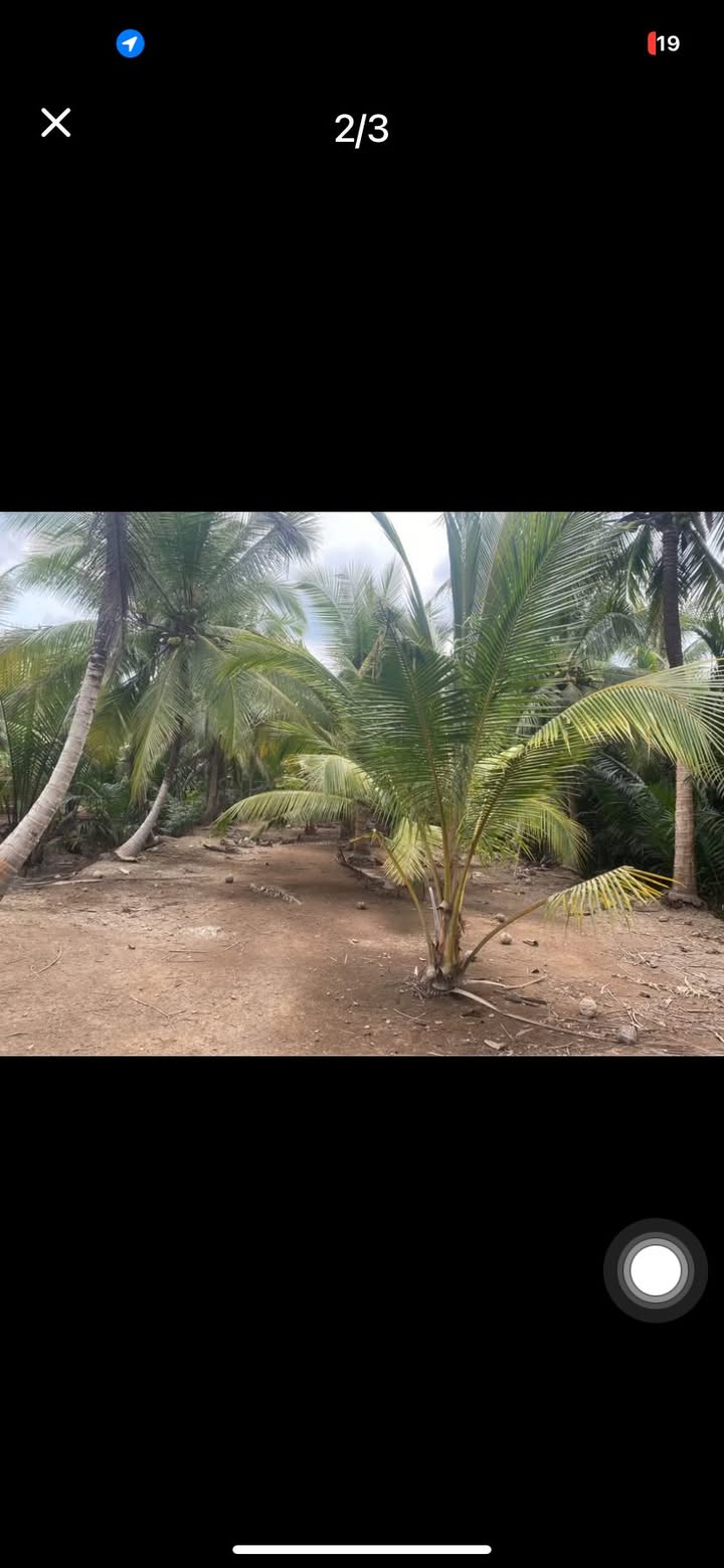 Đất Ấp Hoà Phước, Mỏ Cày Bắc 3800m² giá 4.1 tỷ - Đầu tư sinh lời tốt!