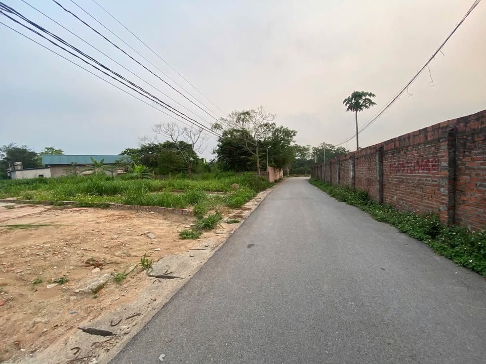 Bán đất Yên Sơn, Hướng Đạo, Tam Dương 125m² giá 1.4 tỷ - Đầu tư tiềm năng gần KCN!