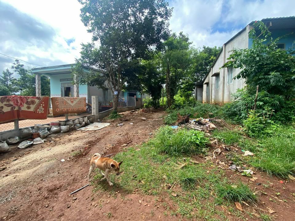 Đất nền Ea Drông Buôn Hồ 136m² giá 330 triệu - Cơ hội đầu tư hấp dẫn!