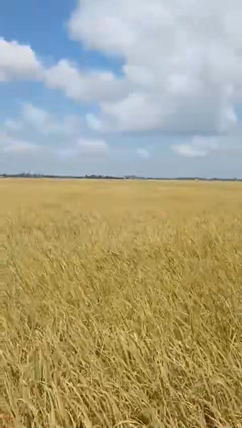 Đất nền mặt tiền Quốc lộ 1A, xã Đại Tâm, 3645m² - Giá chỉ 800 triệu!