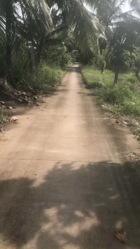 Đất nền mặt tiền lộ đal xã Tài Trần Đề 1890m² giá 567 triệu - Cơ hội đầu tư lý tưởng!