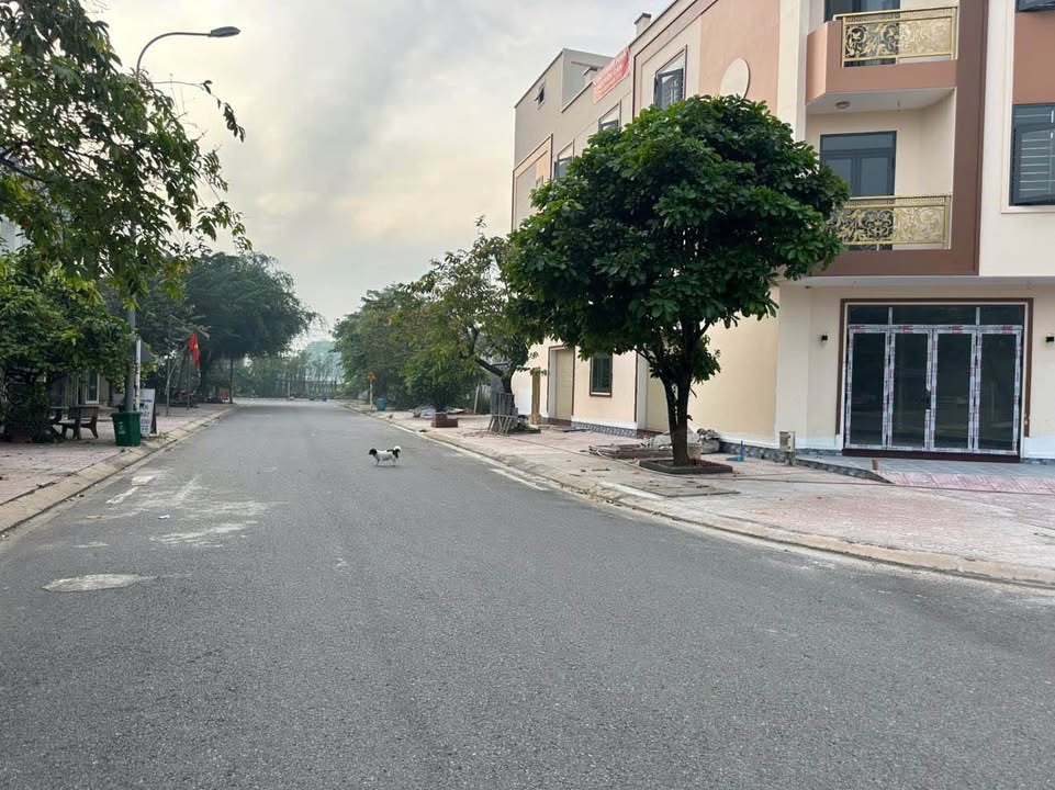 Đất nền Bình Minh, Trảng Bom, Đồng Nai 135m² - Đối diện công viên, giá đầu tư hấp dẫn!