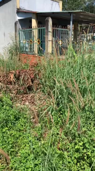 Đất mặt tiền Quốc lộ 14, Phú Riềng, 331m² giá chỉ 1.07 tỷ - Cơ hội đầu tư tuyệt vời!