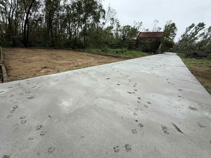 Đất Nghi Hương 160m² giá 1.7 tỷ - Lợi nhuận cao từ đầu tư!