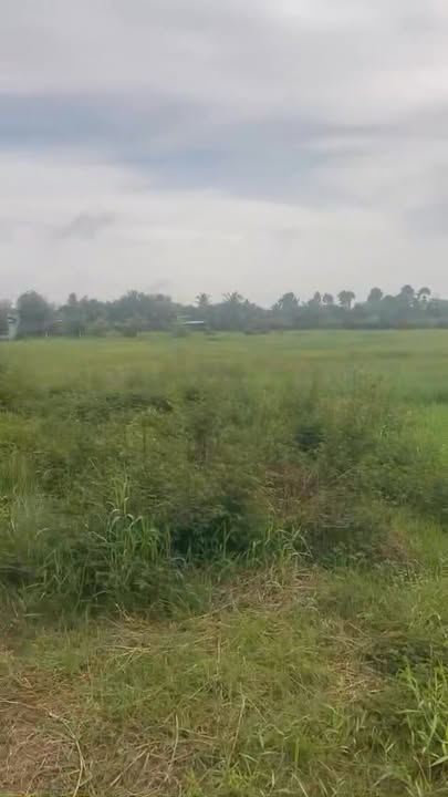 Đất nền mặt tiền Tỉnh Lộ xã Thái Mỹ, Củ Chi 4638m² - Giá chỉ 23.19 tỷ!