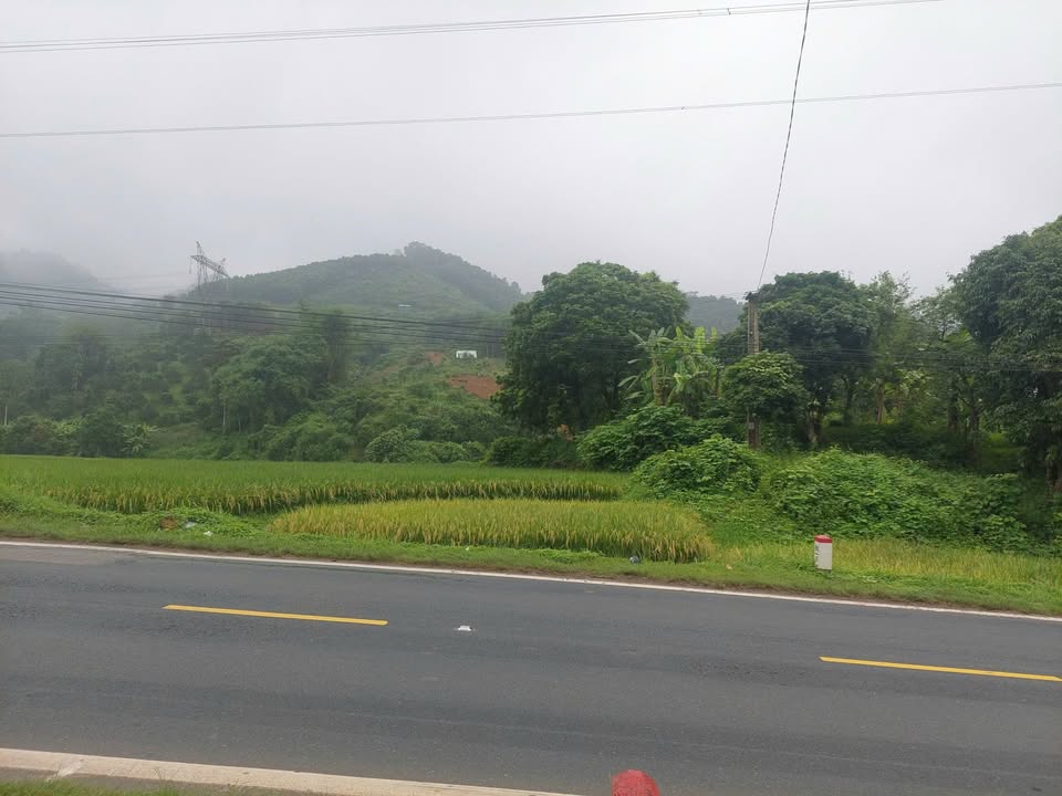 Đất nền Cao Phong Hòa Bình 1524m² giá 3.8 tỷ - Cơ hội đầu tư tuyệt vời!