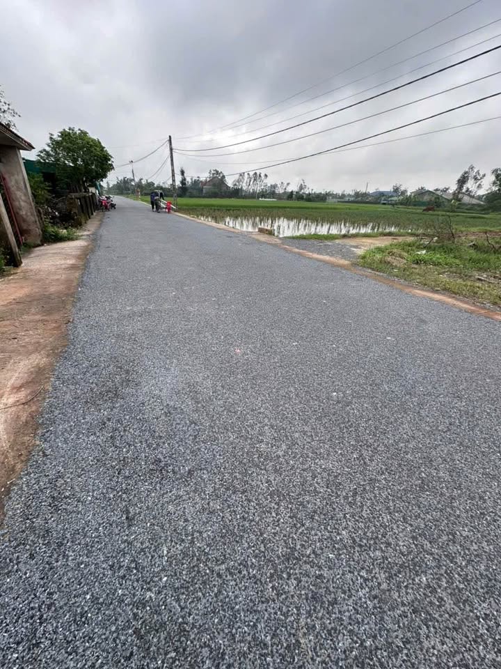 Đất nền Nghi Trường 183m² giá 1.83 tỷ - Đường nhựa thông thoáng!