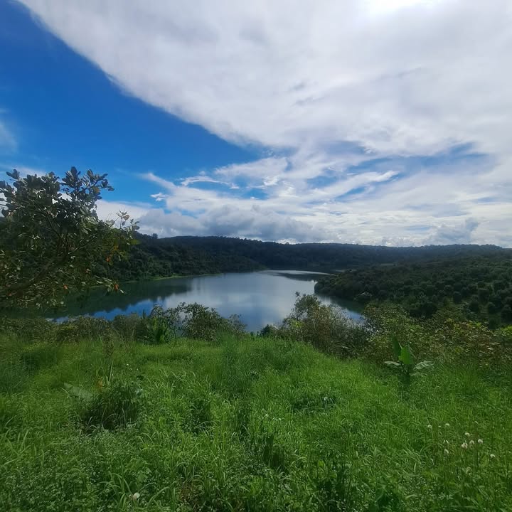 Đất nền Đắk Sin 1000m² giá chỉ từ 560 triệu - Cơ hội đầu tư tuyệt vời!